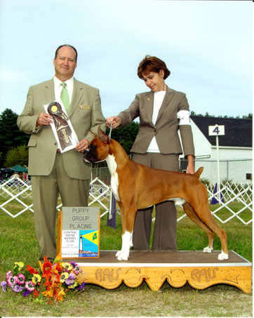 Winstons Puppy Group 2
Aug 28, 2009 / Winston & Deb Struff take a Puppy Group 2 (for the Working Group) at the Central Maine Kennel Club Show.