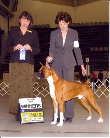 Winstons 2nd Major!!
Feb 5, 2010 / Winston & Deb take Winners Dog for his 2nd major, at the Sand and Sea Kennel Club.