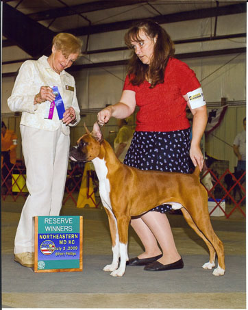 Winston & Beth Downey taking Reserve at the Northeast Md Kennel Club Show.
July 3, 2009
